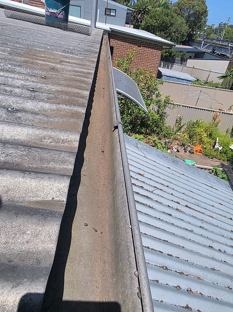 Overview of a corrugated roof over a Sydney property, surrounded by trees
