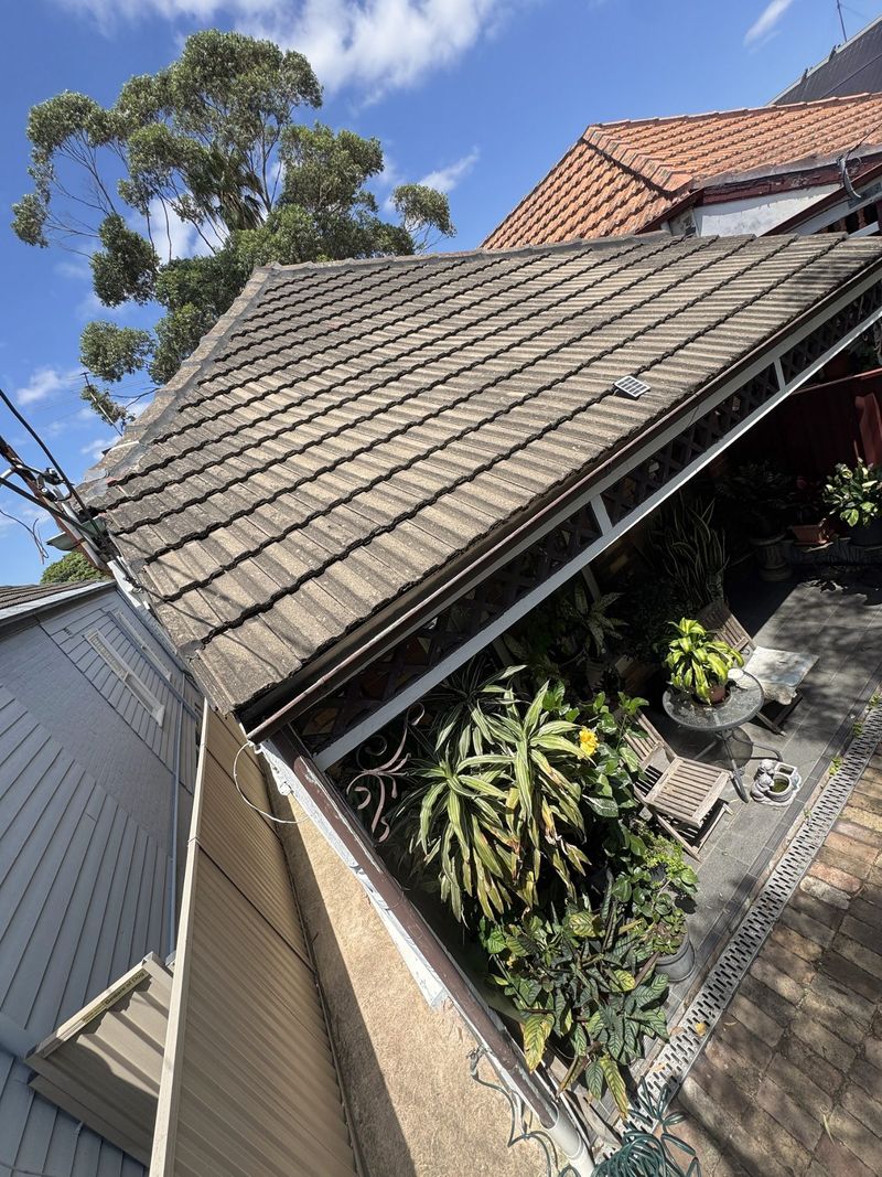 Gutter along a tiled roof partly hidden by foliage