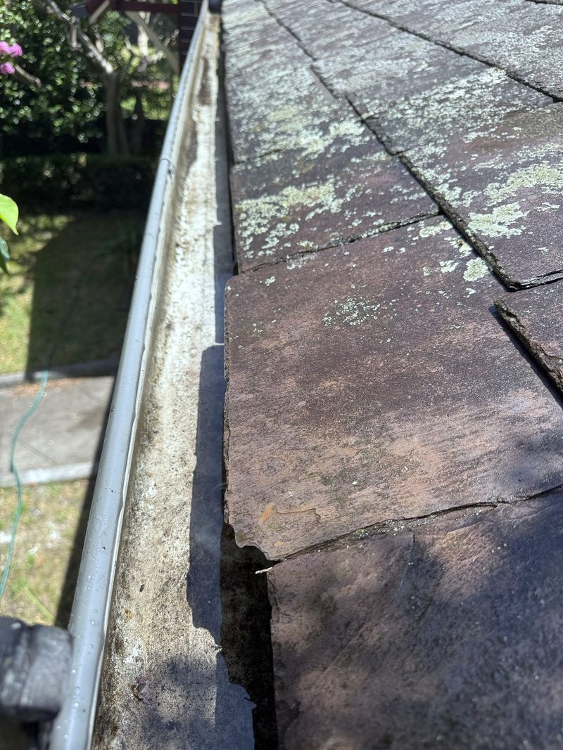 Gutter and fascia line running beneath a tiled roof