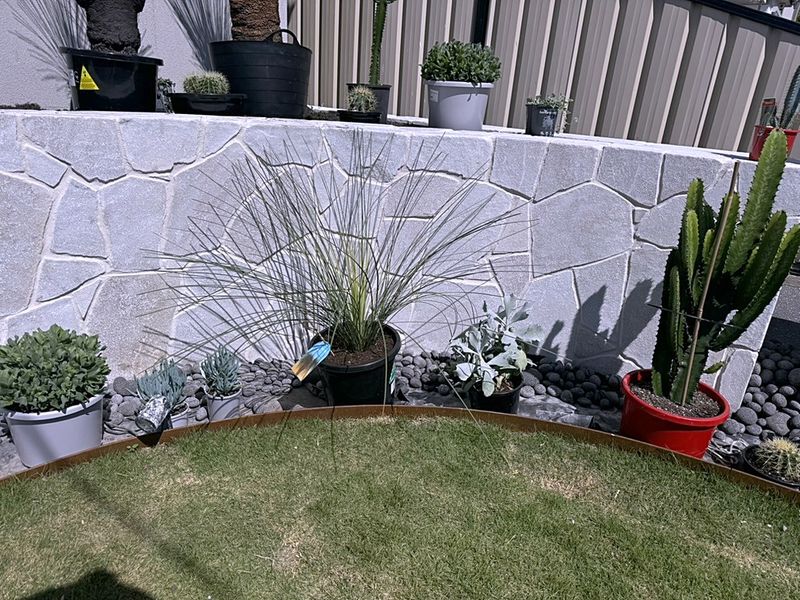 A stone retaining wall borders this finished Sydney garden bed.