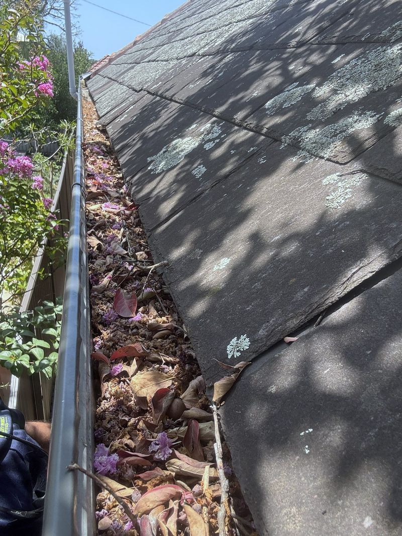 Roof gutter packed with fallen leaves and flowers, overflowing at the edge